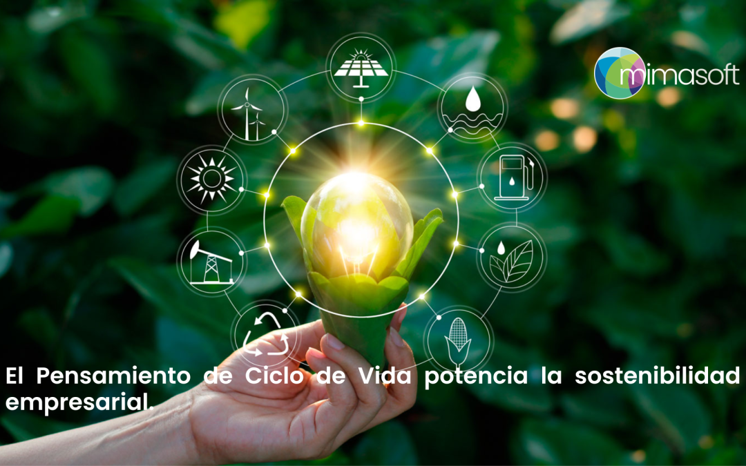 Ciclo de Vida potencia la sostenibilidad empresarial.