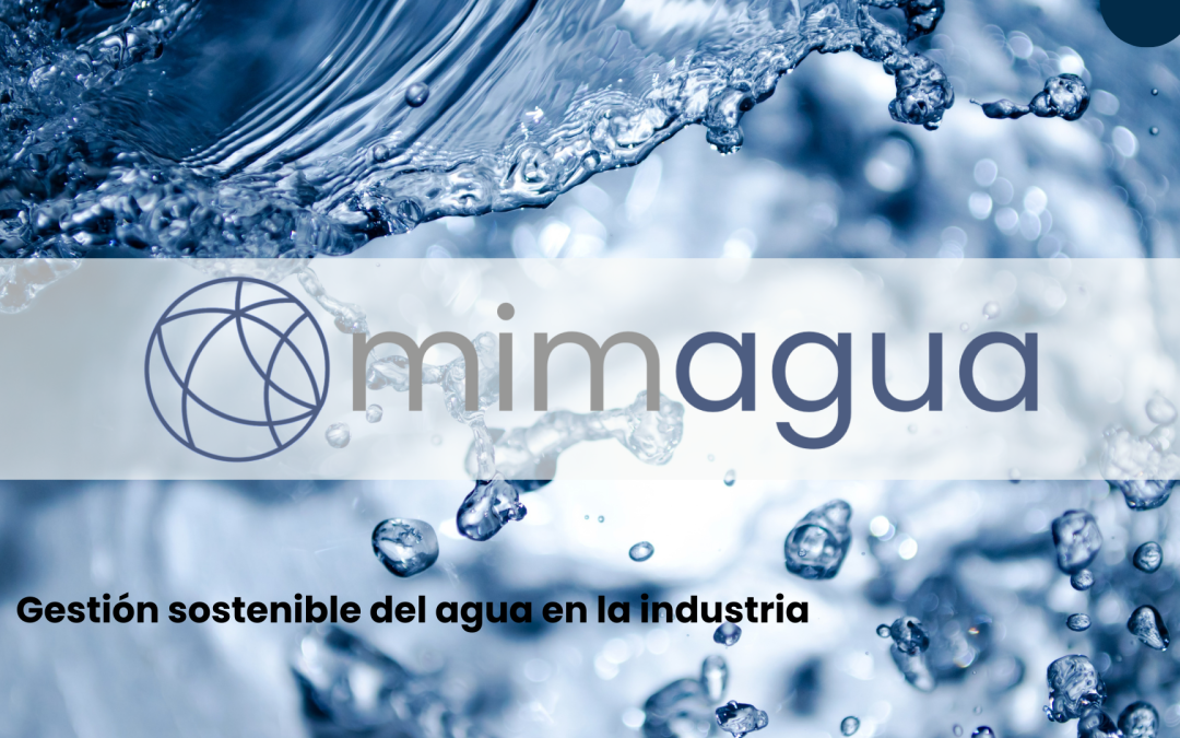 Gestión Sostenible del Agua en la Industria.